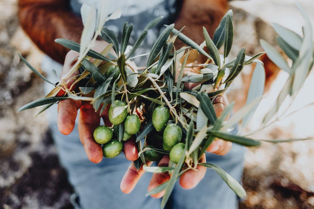 olives-hotel-hani-drvenik-makarska-rivier-main.jpg